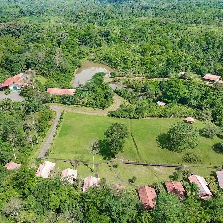 La Anita Rain Forest Colonia Dos Ríos Dış mekan fotoğraf