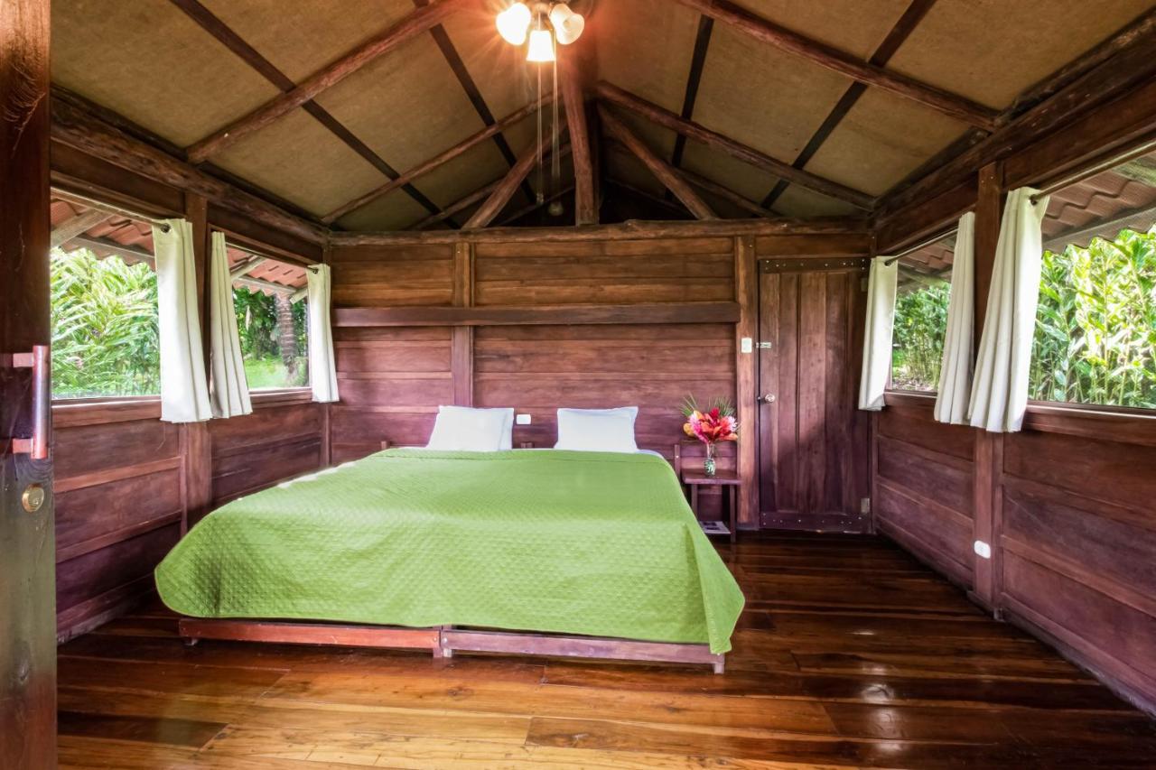La Anita Rain Forest Colonia Dos Ríos Dış mekan fotoğraf