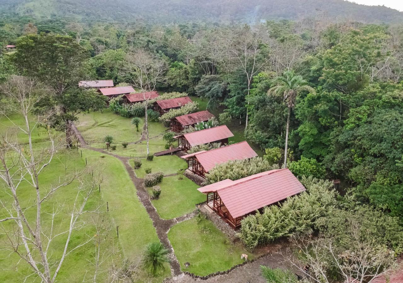 La Anita Rain Forest Colonia Dos Ríos Dış mekan fotoğraf