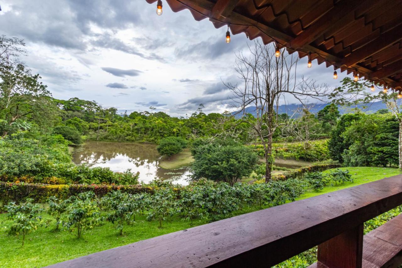 La Anita Rain Forest Colonia Dos Ríos Dış mekan fotoğraf