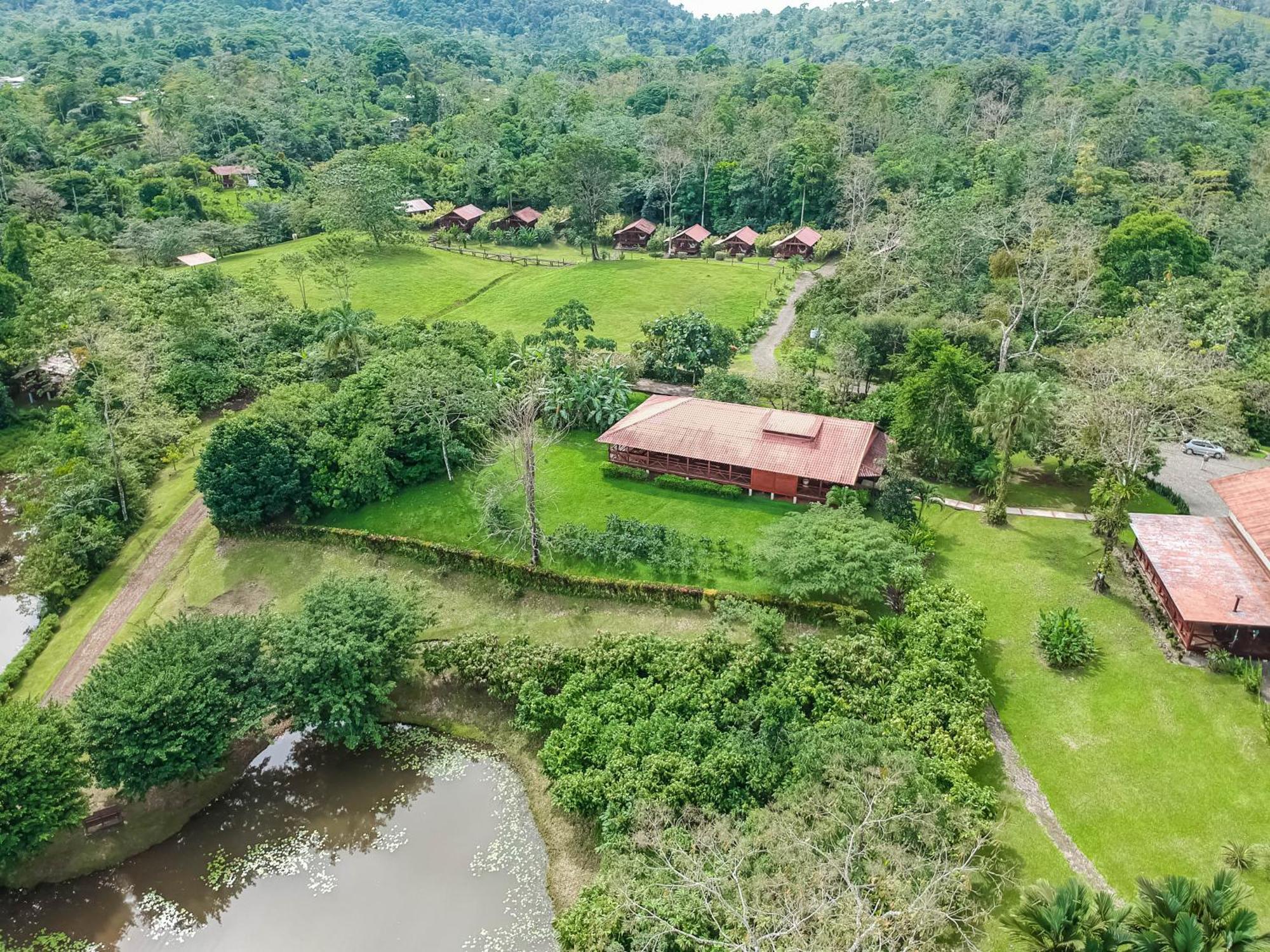 La Anita Rain Forest Colonia Dos Ríos Dış mekan fotoğraf