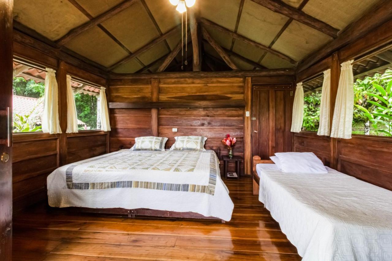 La Anita Rain Forest Colonia Dos Ríos Dış mekan fotoğraf