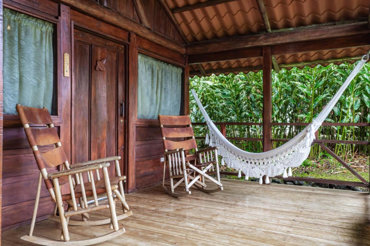 La Anita Rain Forest Colonia Dos Ríos Dış mekan fotoğraf