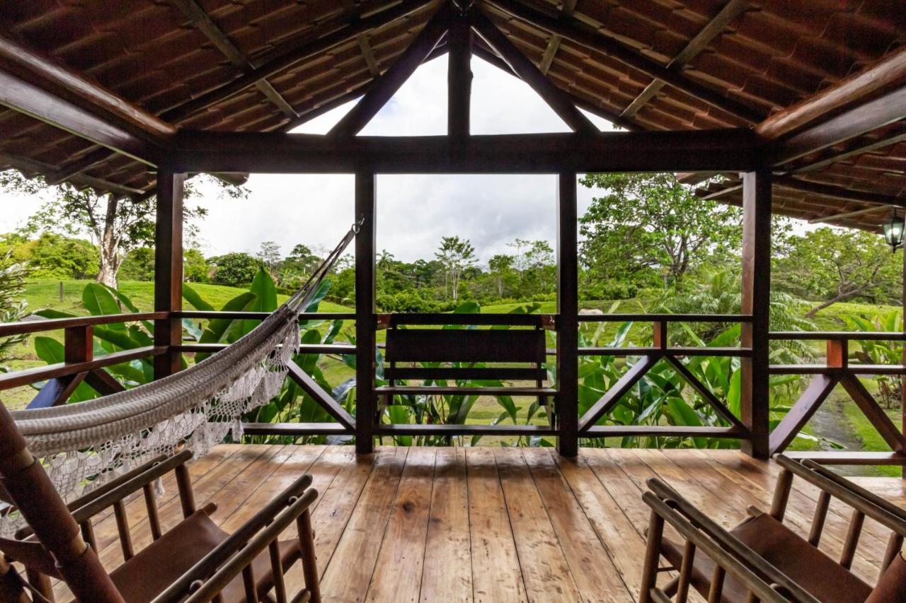 La Anita Rain Forest Colonia Dos Ríos Dış mekan fotoğraf