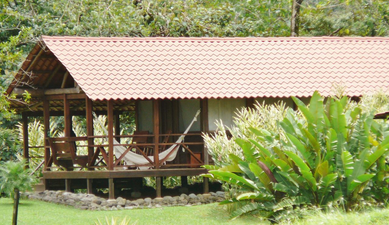 La Anita Rain Forest Colonia Dos Ríos Dış mekan fotoğraf