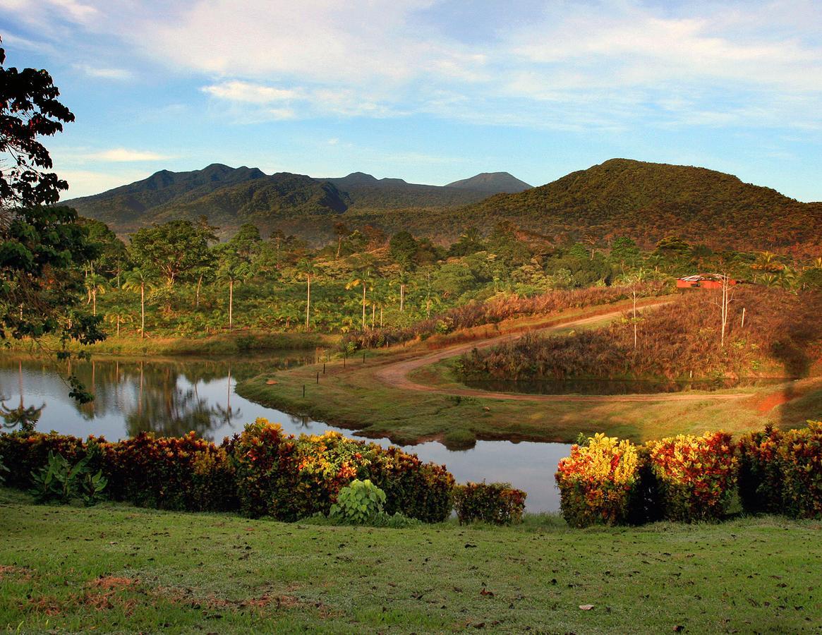 La Anita Rain Forest Colonia Dos Ríos Dış mekan fotoğraf