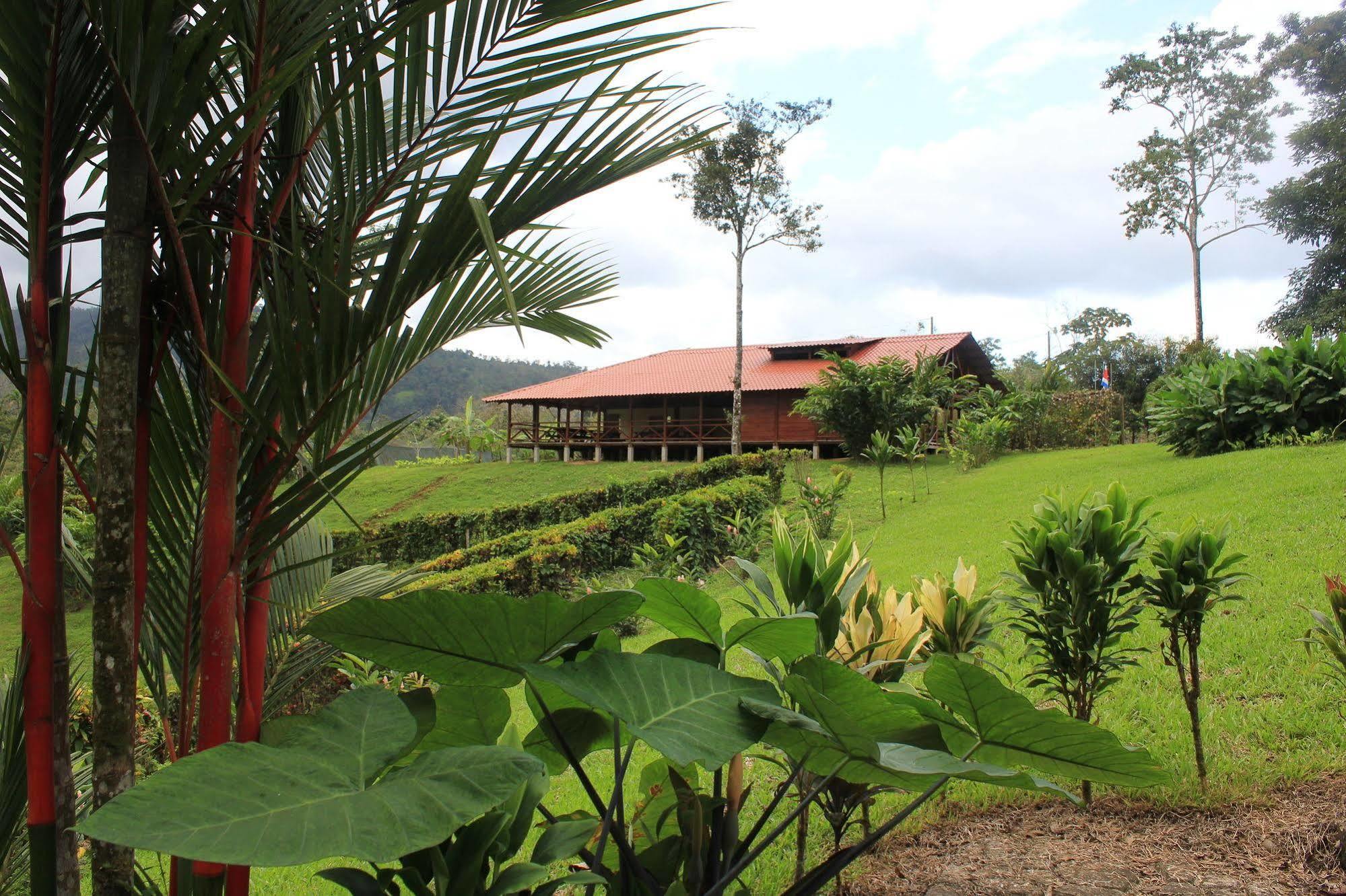 La Anita Rain Forest Colonia Dos Ríos Dış mekan fotoğraf
