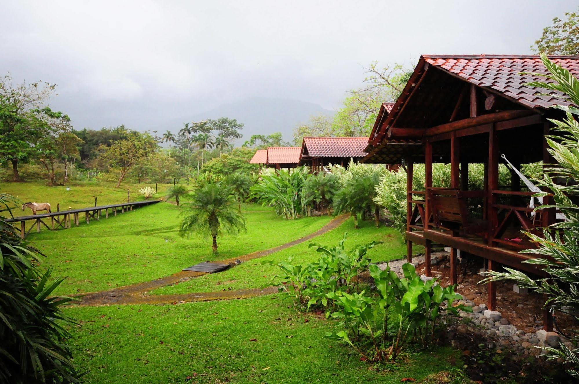 La Anita Rain Forest Colonia Dos Ríos Dış mekan fotoğraf